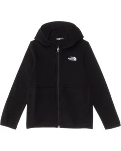 The North Face Kids Glacier Full Zip Hoodie (Toddler) | Coats & Outerwear -The North Shop 51EJjDR sHL. AC SR736920