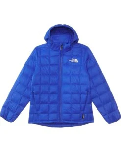 The North Face Kids ThermoBall Hooded Jacket (Little Kid/Big Kid) | Coats & Outerwear -The North Shop 610cCvD1G1L. AC SR736920