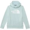 The North Face Kids Teen Half Dome Camp Fleece Pullover Hoodie (Little Kid/Big Kid) | Hoodies & Sweatshirts 1 The North Face Kids Teen Half Dome Camp Fleece Pullover Hoodie (Little Kid/Big Kid) | Hoodies & Sweatshirts -The North Shop 616bq07bxpL. AC SR736920