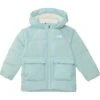 The North Face Kids North Down Fleece-Lined Parka (Toddler) | Coats & Outerwear