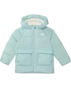 The North Face Kids North Down Fleece-Lined Parka (Toddler) | Coats & Outerwear