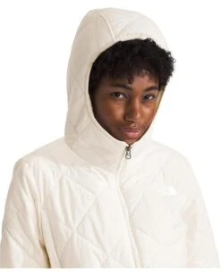 The North Face Shady Glade Insulated Parka | Coats & Outerwear -The North Shop 61KQueaj3RL. AC SR736920