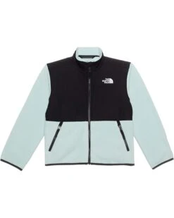 The North Face Kids Denali Jacket (Toddler) | Coats & Outerwear