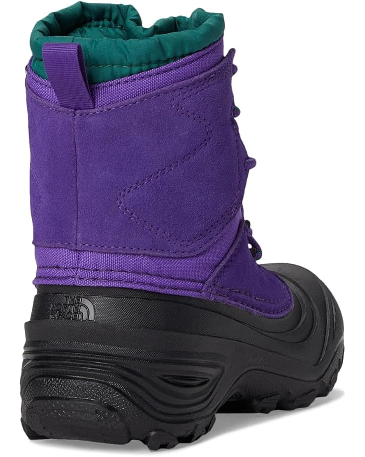 The North Face Kids Alpenglow V Waterproof (Youth) | Boots 7 The North Face Kids Alpenglow V Waterproof (Youth) | Boots - Image 5