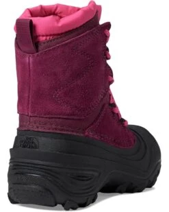 The North Face Kids Alpenglow V Waterproof (Toddler/Little Kid/Big Kid) | Boots -The North Shop 61bKuWSSEbL. AC SR736920