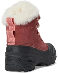 The North Face Kids Shellista V Lace Waterproof (Youth) | Boots -The North Shop 61eDVSRicdL. AC SR736920