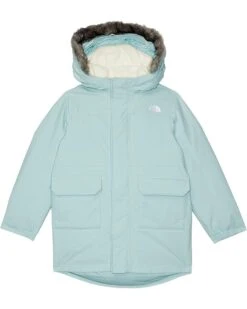 The North Face Kids Arctic Parka (Toddler) | Coats & Outerwear