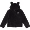The North Face Kids Campshire Full Zip Hoodie (Toddler) | Hoodies & Sweatshirts