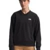 The North Face Evolution V-Neck Sweatshirt | Hoodies & Sweatshirts -The North Shop 7162e8tcmEL. AC SR736920