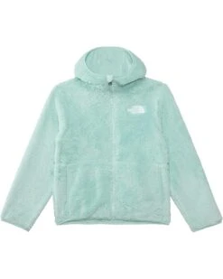 The North Face Kids Teen Campshire Full Zip Hoodie (Little Kid/Big Kid) | Coats & Outerwear