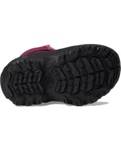 The North Face Kids Alpenglow V Waterproof (Toddler/Little Kid/Big Kid) | Boots -The North Shop 71F99cHh4WL. AC SR736920