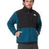 The North Face Retro Denali Jacket | Coats & Outerwear -The North Shop 71FuLYRhpcL. AC SR736920