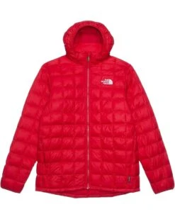 The North Face Kids ThermoBall Hooded Jacket (Little Kid/Big Kid) | Coats & Outerwear -The North Shop 71FvXL XpxL. AC SR736920