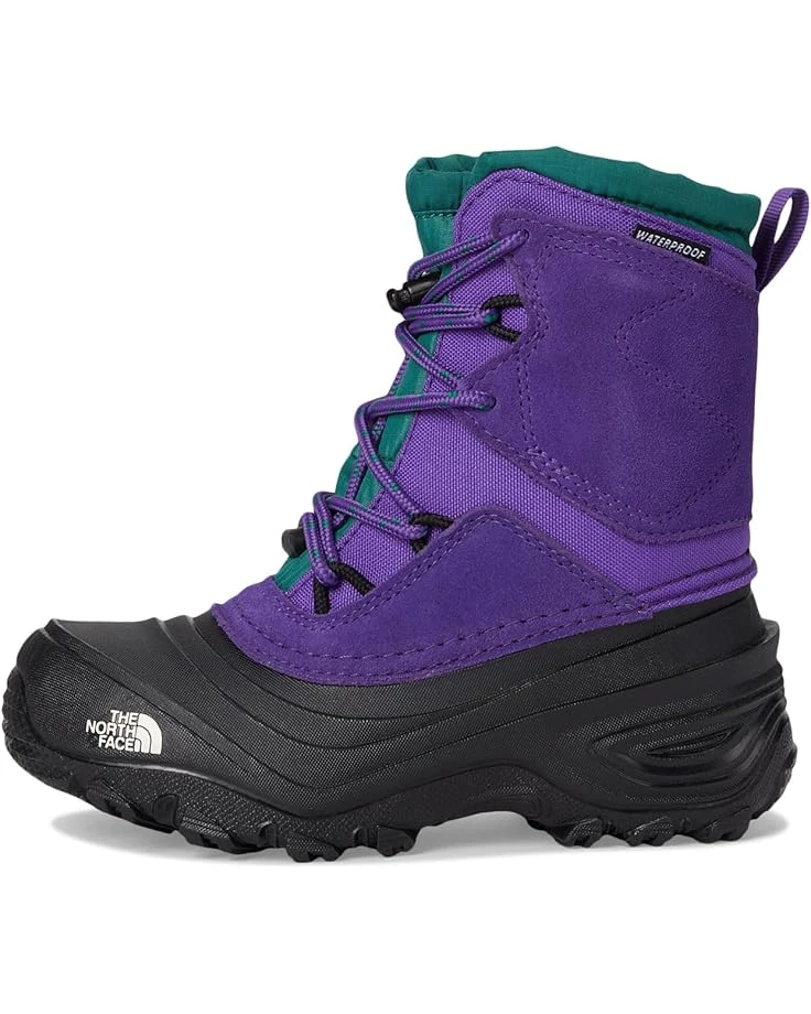 The North Face Kids Alpenglow V Waterproof (Youth) | Boots 6 The North Face Kids Alpenglow V Waterproof (Youth) | Boots - Image 4