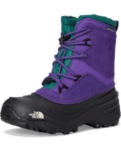 The North Face Kids Alpenglow V Waterproof (Youth) | Boots 16 The North Face Kids Alpenglow V Waterproof (Youth) | Boots -The North Shop 71i AyG erL. AC SR736920