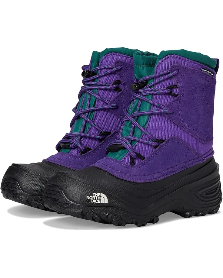 The North Face Kids Alpenglow V Waterproof (Youth) | Boots 3 The North Face Kids Alpenglow V Waterproof (Youth) | Boots