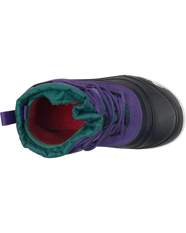 The North Face Kids Alpenglow V Waterproof (Youth) | Boots 4 The North Face Kids Alpenglow V Waterproof (Youth) | Boots - Image 2