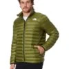 The North Face Terra Peak Jacket | Coats & Outerwear -The North Shop 71lLCZOaECL. AC SR736920