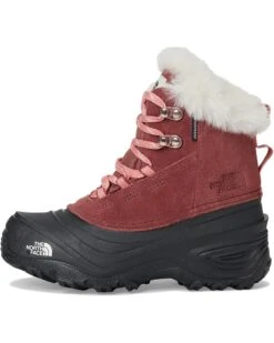 The North Face Kids Shellista V Lace Waterproof (Youth) | Boots -The North Shop 71x1SYHMYFL. AC SR736920