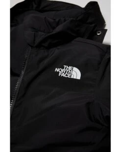 The North Face Kids North Down Triclimate® (Toddler) | Coats & Outerwear -The North Shop 81 iEmx9ElL. AC SR736920