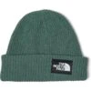 The North Face Salty Dog Beanie | Hats -The North Shop 81F8fDMUoAL. AC SR736920