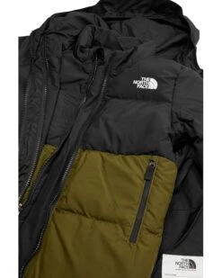 The North Face Kids North Down Triclimate® (Toddler) | Coats & Outerwear -The North Shop 81bWNZKwWEL. AC SR736920