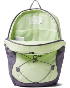 The North Face Court Jester (Youth) | Backpacks -The North Shop 81i H7xxH6L. AC SR736920
