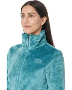 The North Face Osito Jacket | Coats & Outerwear -The North Shop 81p612zU39L. AC SR736920